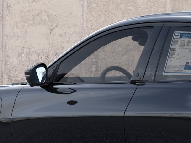 New 2026 Shadow Black Ford Premium image 20
