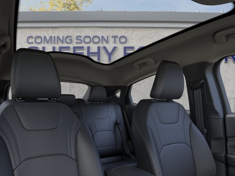 New 2026 Shadow Black Ford Premium image 22