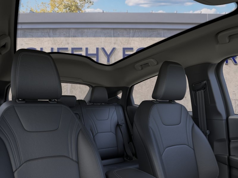 New 2026 Shadow Black Ford Premium image 22