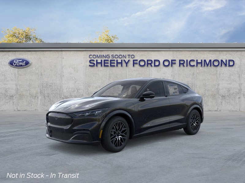 New 2026 Shadow Black Ford Premium image 2