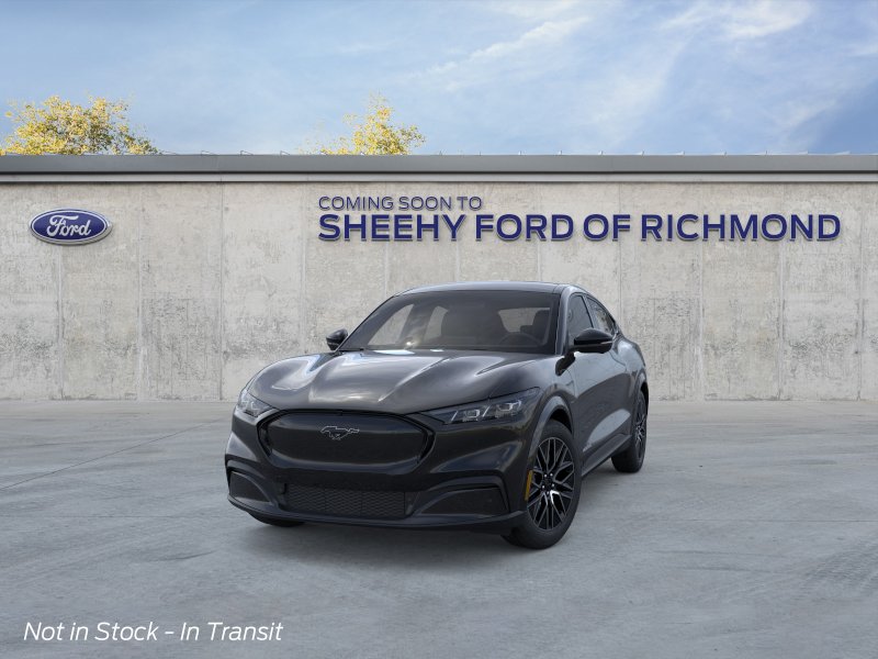 New 2026 Shadow Black Ford Premium image 3