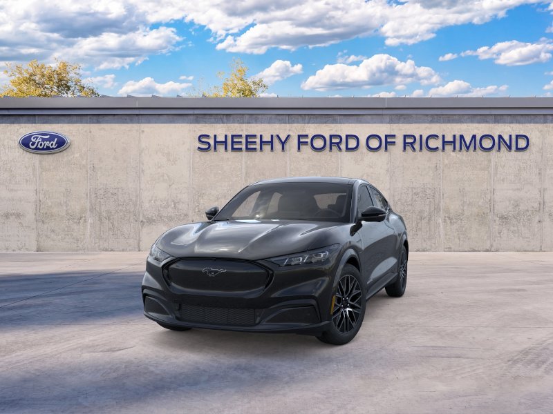 New 2026 Shadow Black Ford Premium image 3