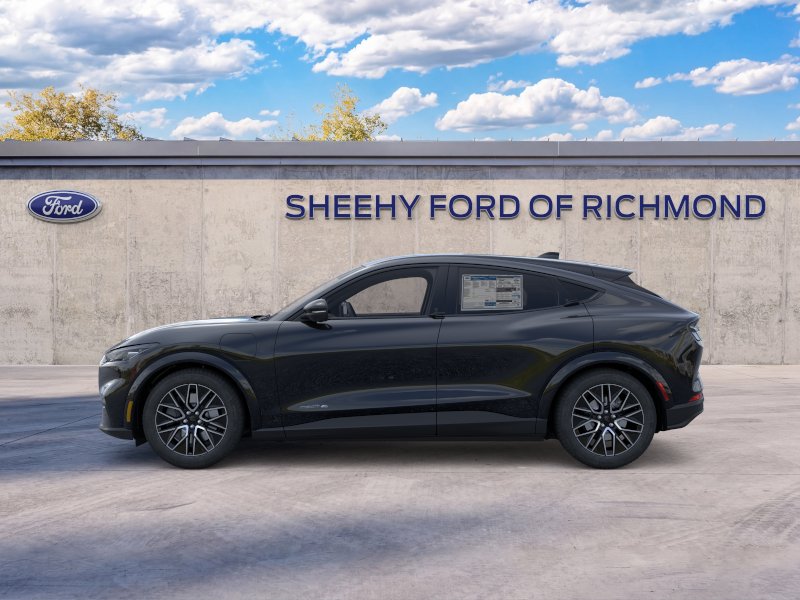 New 2026 Shadow Black Ford Premium image 4