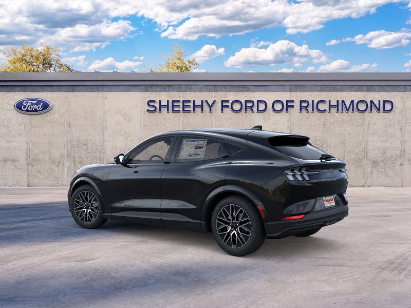 New 2026 Shadow Black Ford Premium image 5