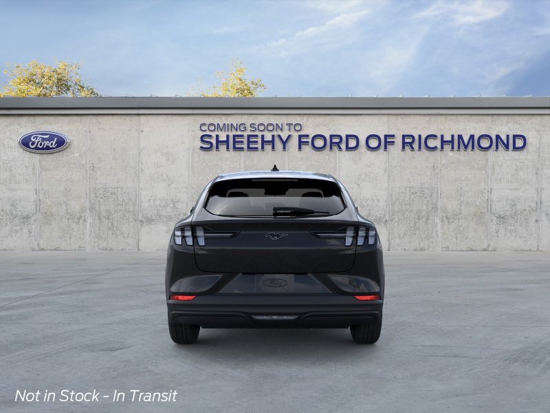 New 2026 Shadow Black Ford Premium image 6