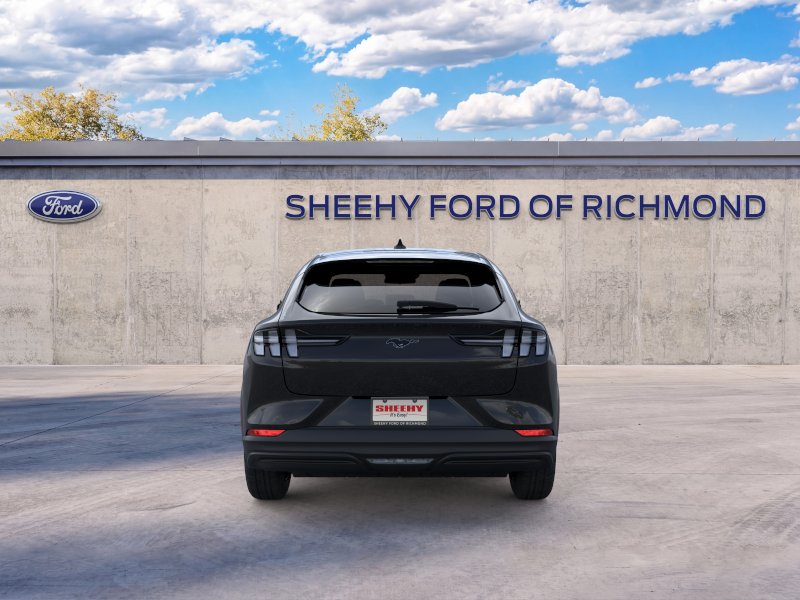 New 2026 Shadow Black Ford Premium image 6