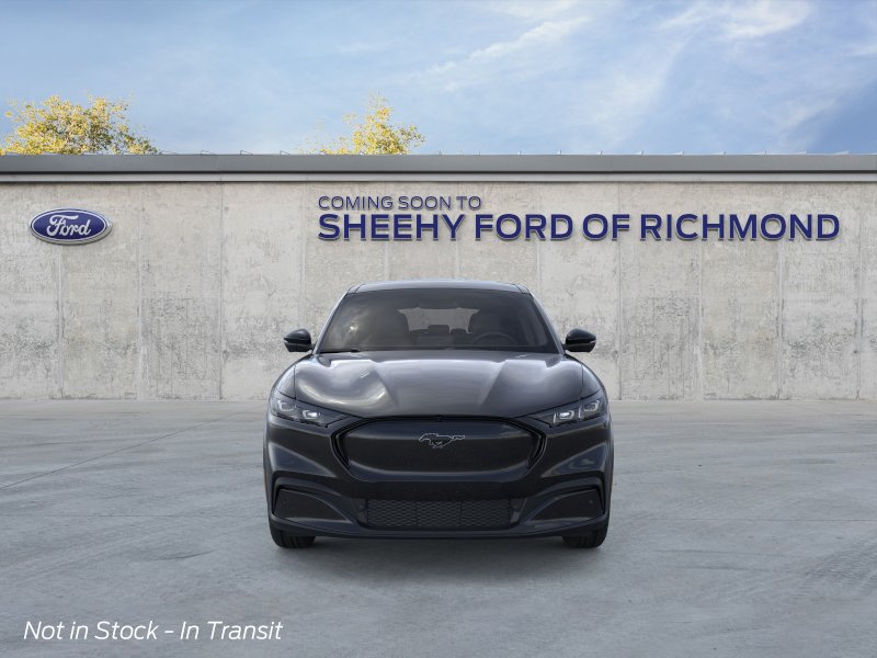 New 2026 Shadow Black Ford Premium image 7