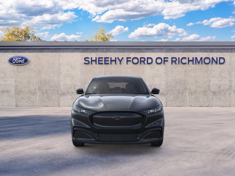 New 2026 Shadow Black Ford Premium image 7