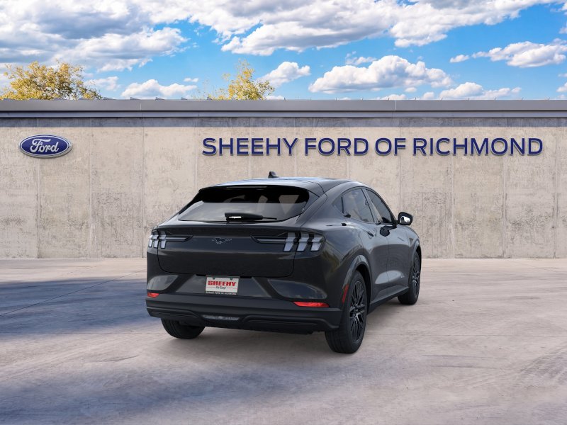 New 2026 Shadow Black Ford Premium image 8