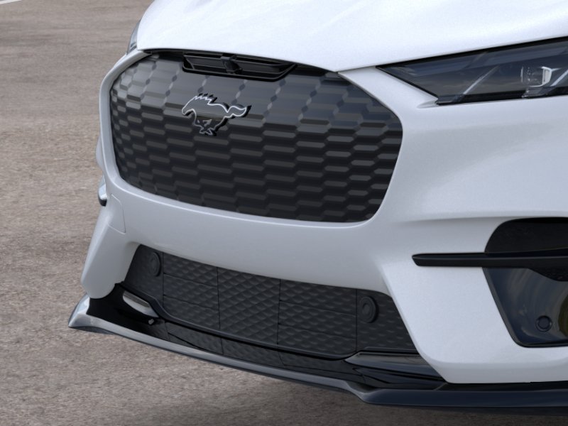 2025 Ford Mustang Mach-E GT - Photo 17