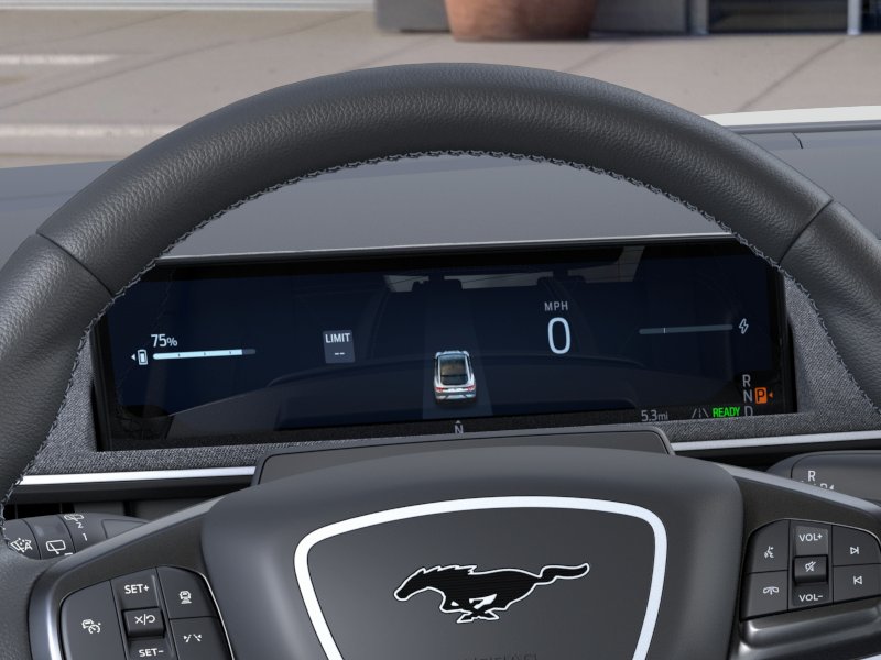 2025 Ford Mustang Mach-E GT - Photo 13
