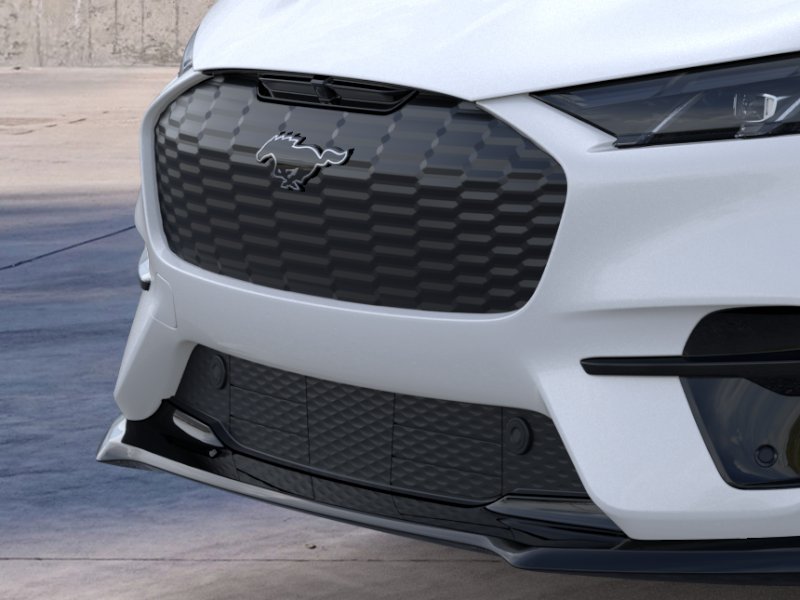 2025 Ford Mustang Mach-E GT - Photo 17