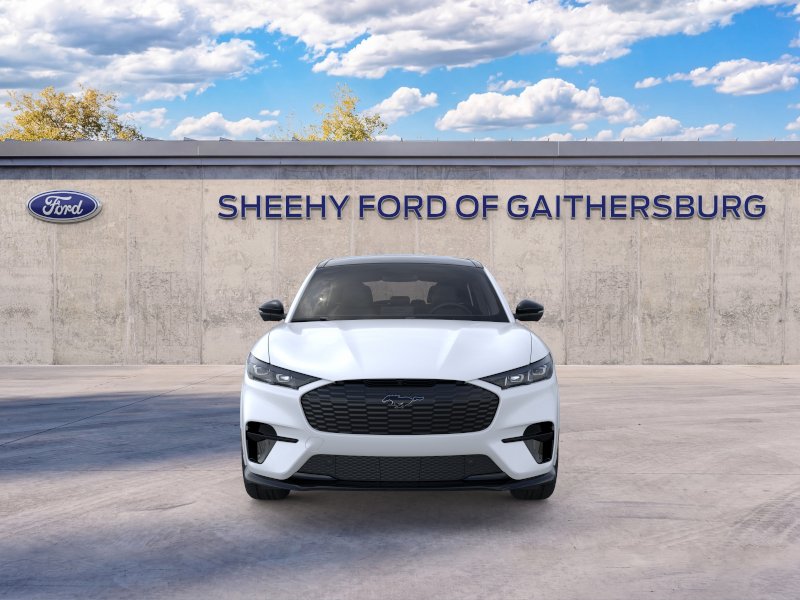 2025 Ford Mustang Mach-E GT - Photo 6