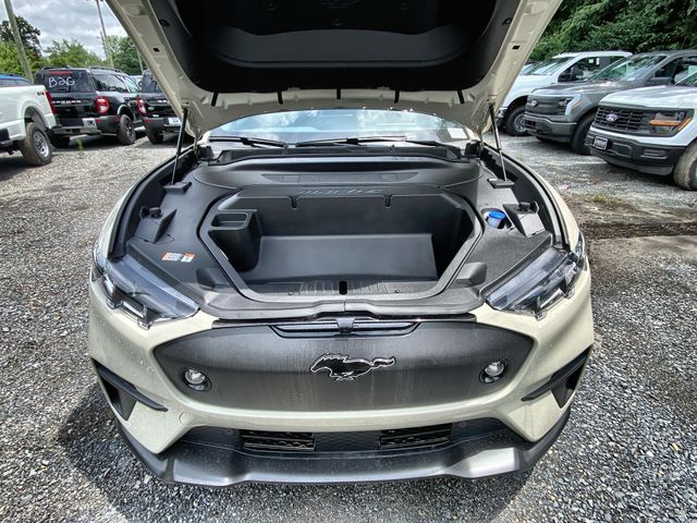2025 Ford Mustang Mach-E GT - Photo 18
