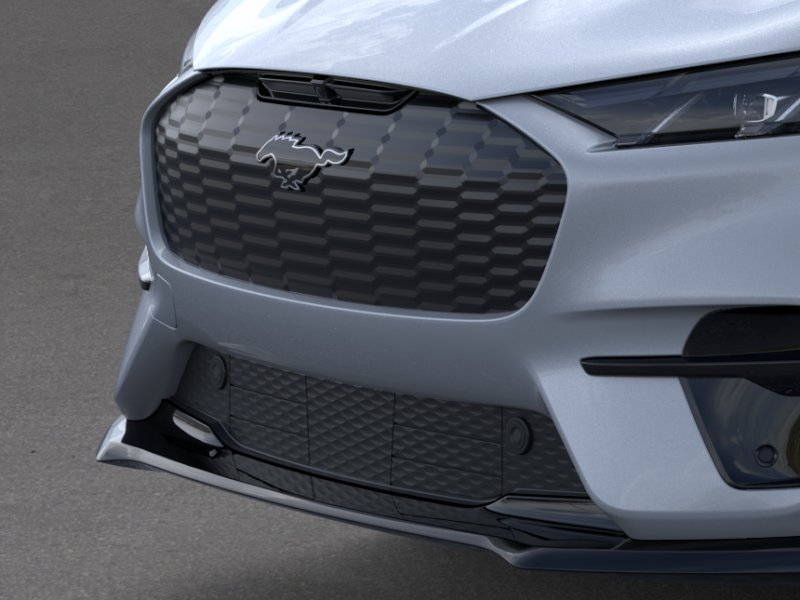 2025 Ford Mustang Mach-E GT - Photo 17